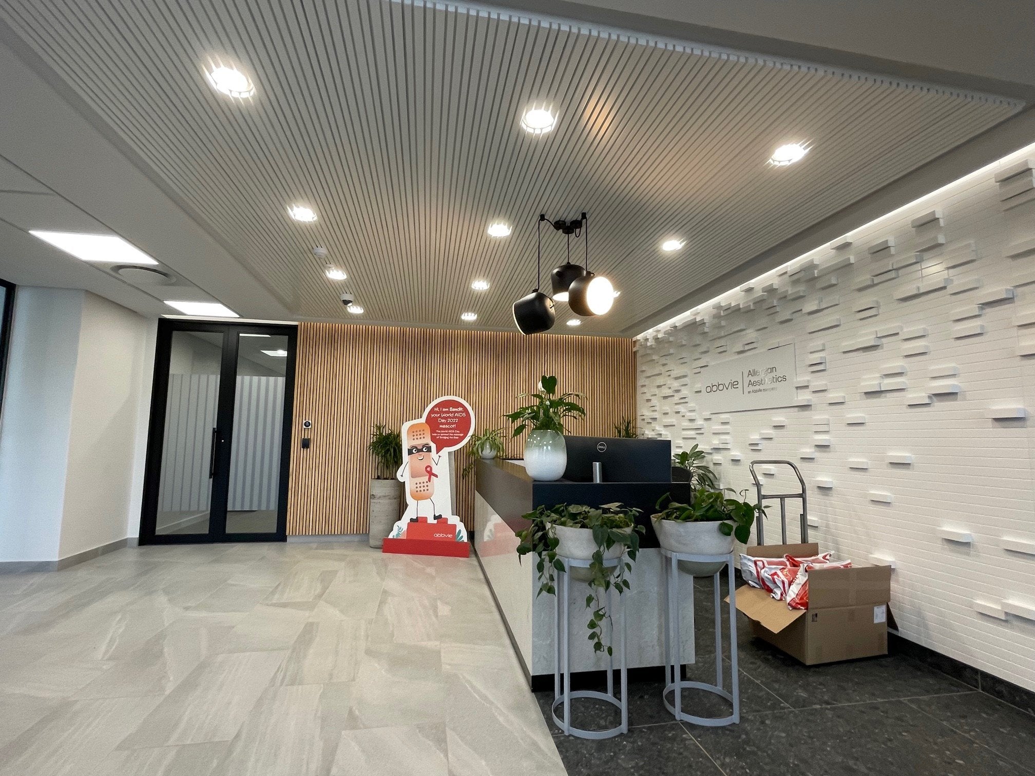 Rubicon Theia Panel Light - Office Ceiling Installation