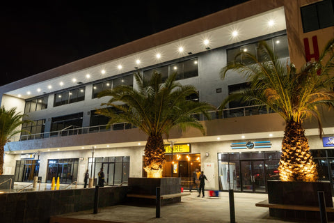 Rubicon Lucia Downlight