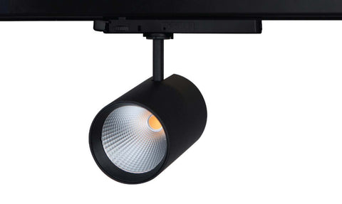 Dingo Track Light